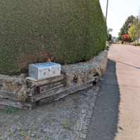 hier ist die Bücherbox stationiert